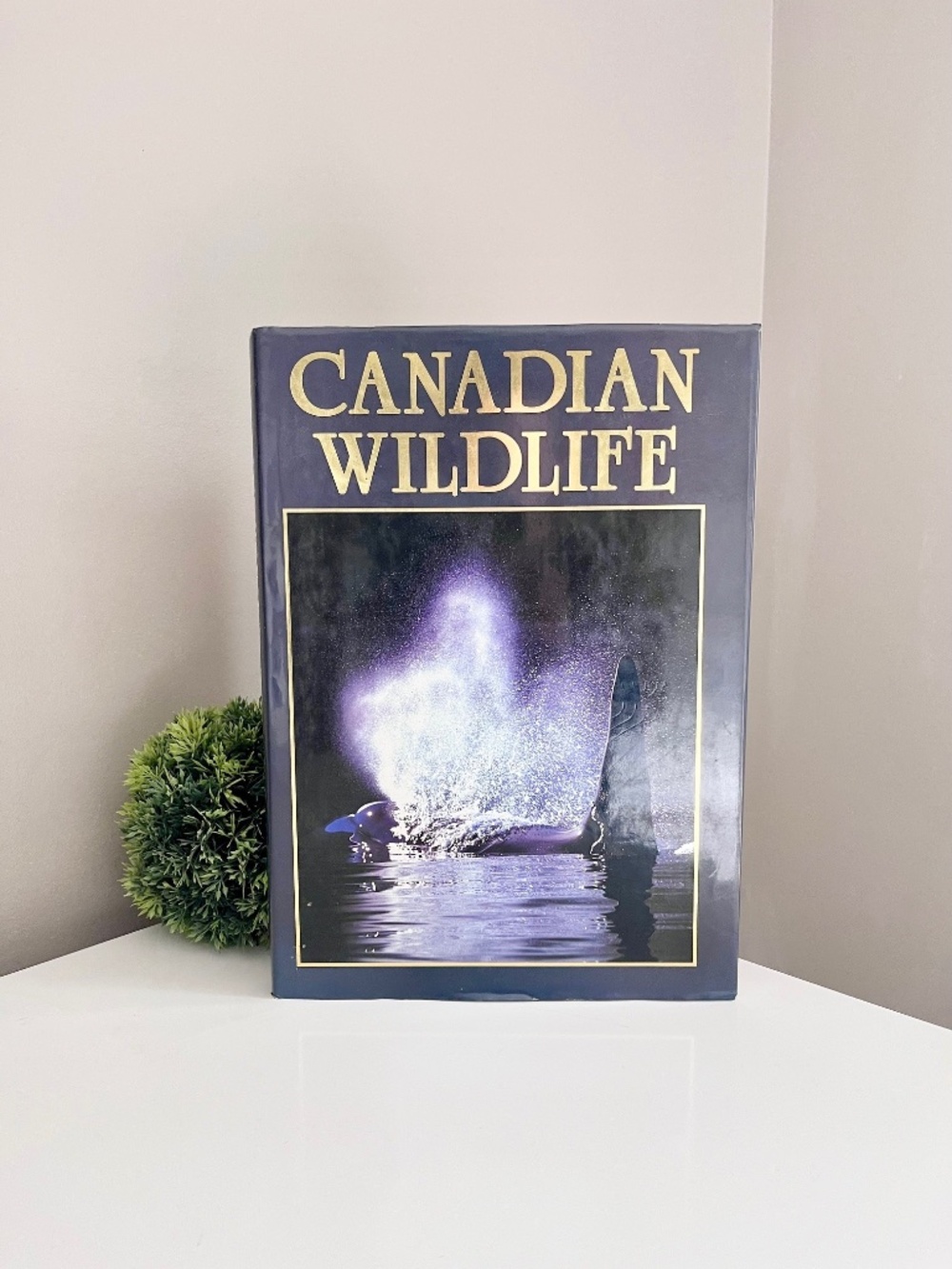 Canadian Wildlife Hardcover Book - Vintage Nature Photography Book